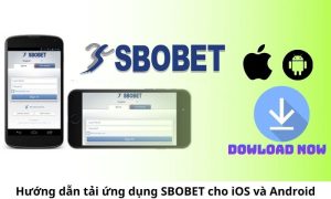 Giới thiệu chung về ứng dụng Sbobet